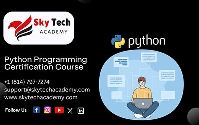 Online Python Training Certification